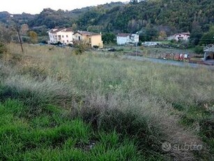 Terreno Edificabile - San Pietro in Guarano -...