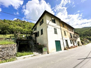 Vendita Rustico Via Pennavaire, Castelbianco