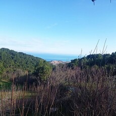 Villa in Vendita a Ancona Massignano