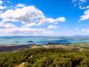 Villa in Vendita a Tuoro sul Trasimeno