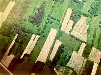 Terreno agricolo in buono stato di 5453 mq. a Padule