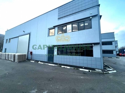 capannone industriale in affitto a Sperone