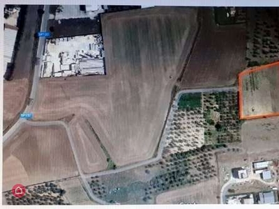 Terreno agricolo in Vendita in Contrada Castello a Gravina in Puglia
