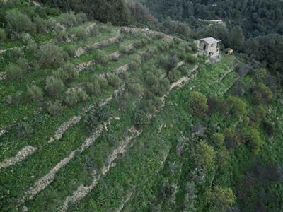 Agricolo - Area verde a Sealza, Ventimiglia