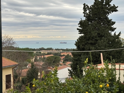 Casa indipendente a Livorno, 4 locali, 1 bagno, giardino privato