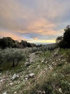 Terreno Agricolo in vendita a Formia