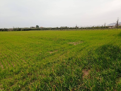 Terreno in vendita a Eboli