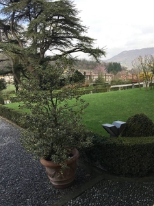 Loft in affitto, Cenate Sotto