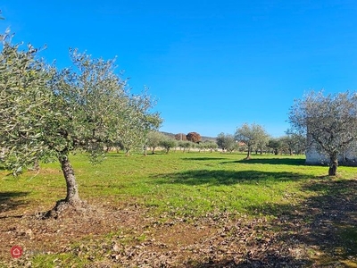 Rustico/Casale in Vendita in Strada Comunale Cucumo a Castellana Grotte