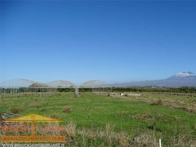 Vendita Terreno Agricolo Belpasso