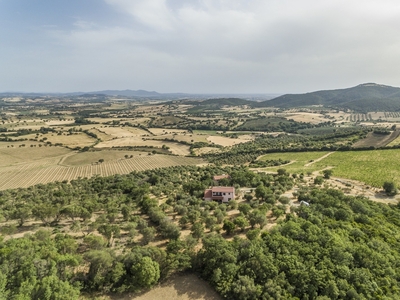 Agriturismo con vista panoramica sul mare a Campagnatico - Toscana