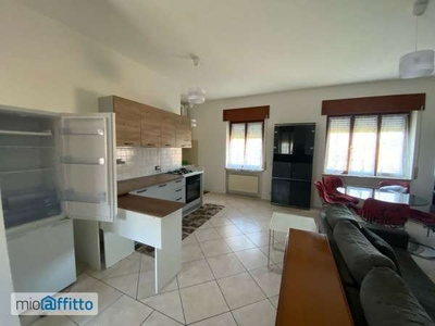 Appartamento arredato con terrazzo Feletto umberto