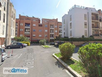 Appartamento arredato con terrazzo Trigoria, spinaceto, tor de cenci, vallerano