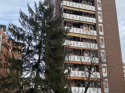Appartamento in vendita a Torino via Balzico, 9