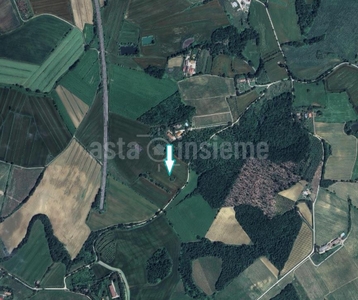 Terreno Agricolo 16,66% Diritto di piena proprietà Frazione San Firmino a Gabbiano CORTONA di 46230,00 Mq. oltre Appezzamenti di terreni