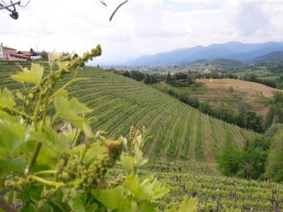 Terreno agricolo in vendita a Cividale Del Friuli