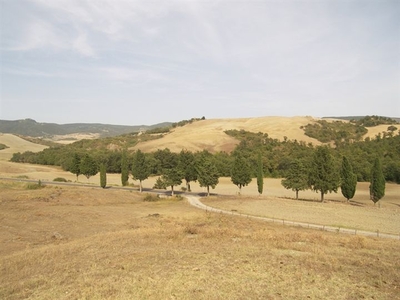 Vendita Rustico casale PIENZA