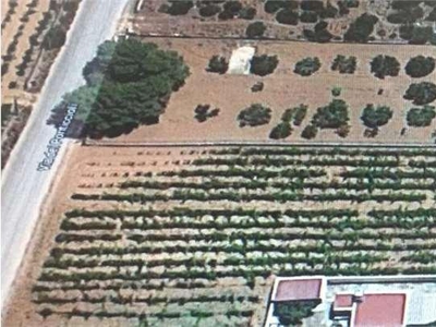 Vendita Terreno Agricolo Mazara del Vallo