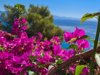 Bilocale vista mare a Varazze