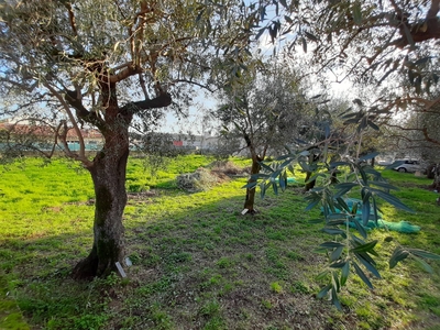 Terreno in vendita, Seravezza querceta