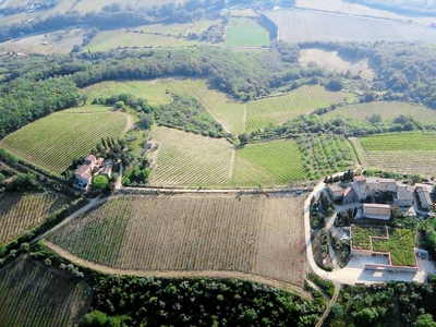 Casa a San Casciano In Val Di Pesa con barbecue e piscina