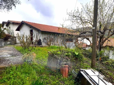 Casa Indipendente in Vendita ad Testico - 48000 Euro