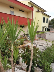 Casa singola, THIESI