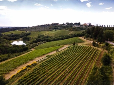 Incantevole Azienda Agricola in Vendita a Greve in Chianti, Toscana - Un'oasi di Storia e Natura