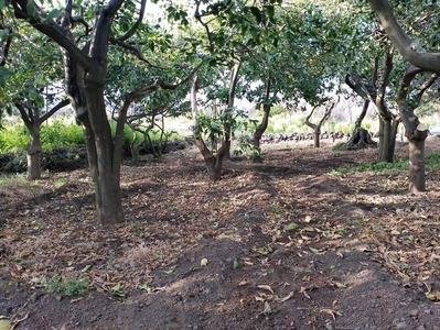 Terreno Agricolo in vendita a Acireale