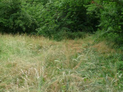 Vendita Terreno Agricolo Conegliano