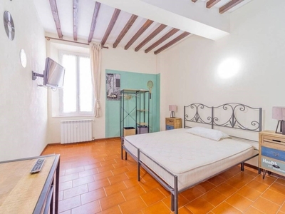 Appartamento in affitto a Parma borgo della Posta, 23