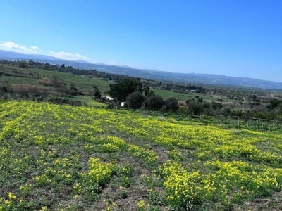 Terreno Agricolo in vendita a Carlentini strada Statale Ragusana