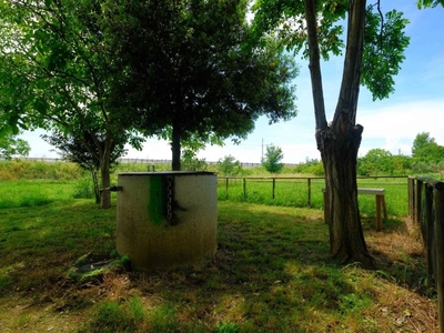 Terreno Agricolo in vendita a Foiano della Chiana