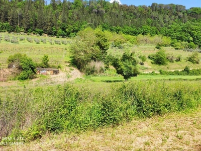 Terreno Agricolo in vendita a Poggibonsi strada Vicinale di Megognano