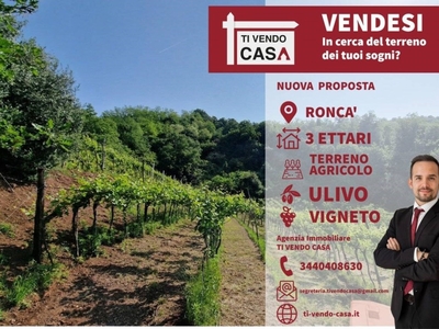 Terreno Agricolo in vendita a Roncà via Duello, 21