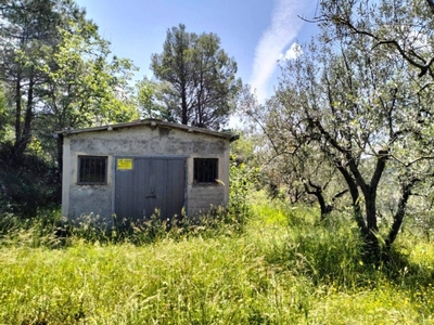 Terreno Agricolo in vendita a Terni via Colle Palone