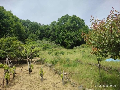 Terreno Agricolo in vendita a Zafferana Etnea