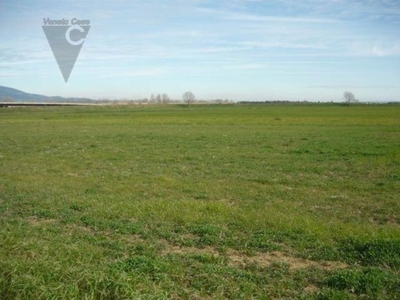 Terreno Residenziale in vendita a Padova