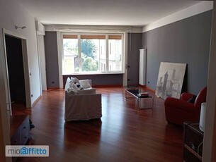 Appartamento arredato con terrazzo Gallarate