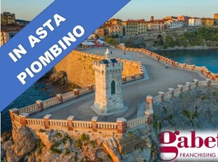 appartamento in vendita a Piombino