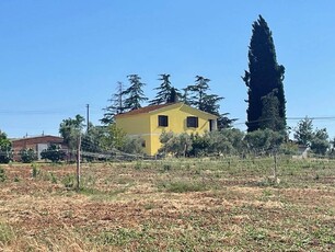 Azienda agricola in vendita a Campagnatico