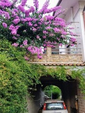 Casa indipendente in vendita Massa-carrara