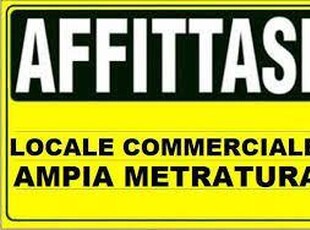 Fondo commerciale in affitto Pisa