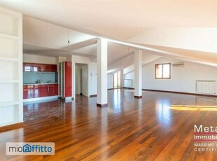 Loft arredato con terrazzo Centro