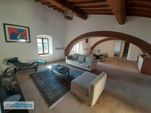 Loft arredato San Casciano In Val Di Pesa