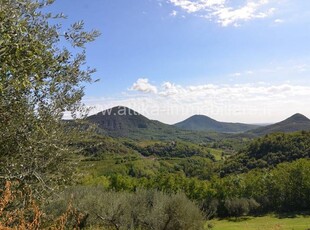 Rustico in Vendita a Cinto Euganeo Cinto Euganeo