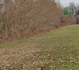 Terreno agricolo in Vendita a Castelfranco Veneto Bella Venezia