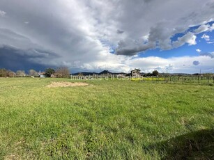 Terreno agricolo in Vendita a Castiglione del Lago Panicarola