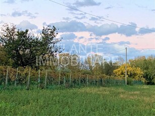 Terreno agricolo in Vendita a Coriano Sant 'Andrea in Besanigo
