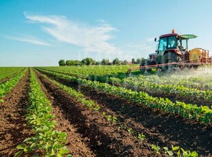 Terreno agricolo in Vendita a Sala Baganza Sala Baganza